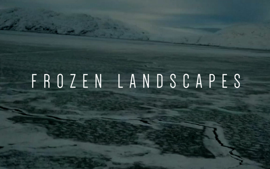 Serge Davidov / Frozen Landscapes