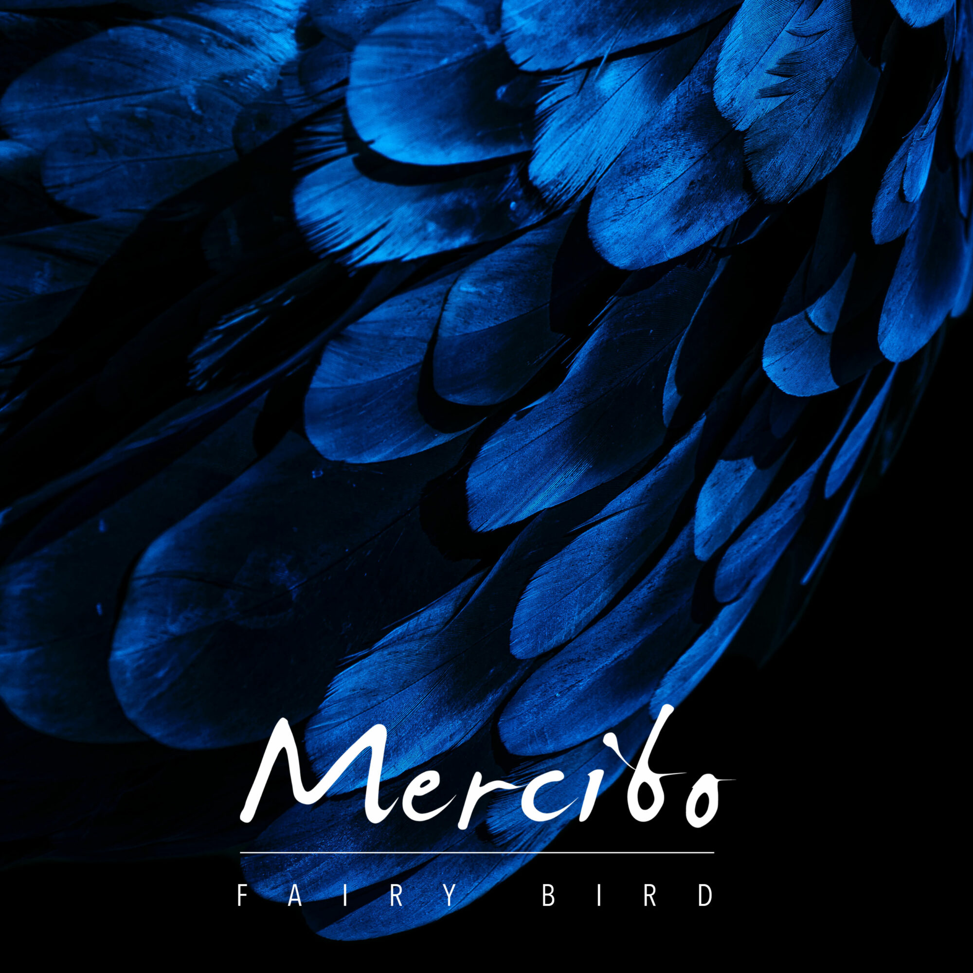 Mercibo-Fairy Bird